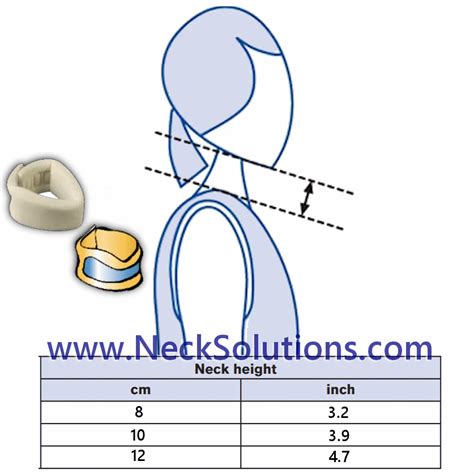 What to Know About Neck Collars .